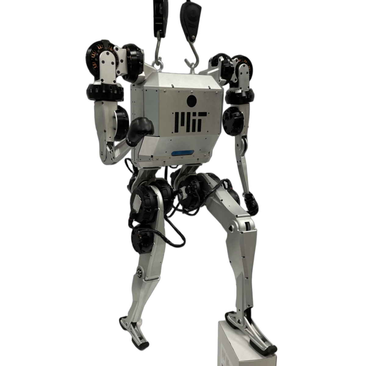 The MIT Humanoid - MIT Biomimetic Robotics Lab 机器人