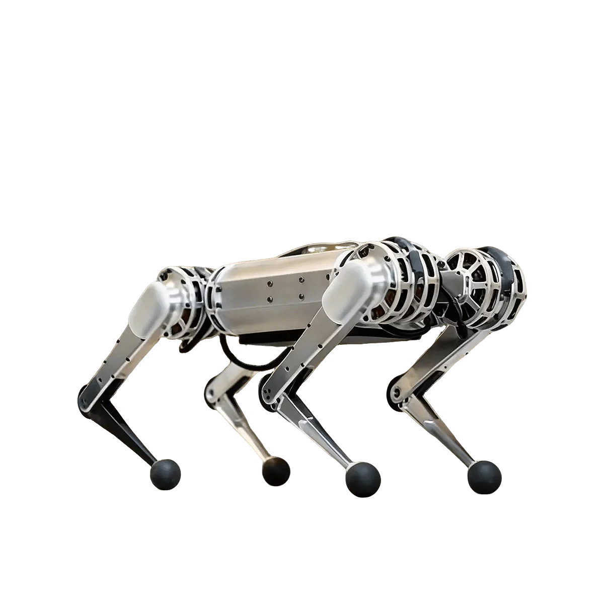 The MIT Mini Cheetah - MIT Biomimetic Robotics Lab 机器人