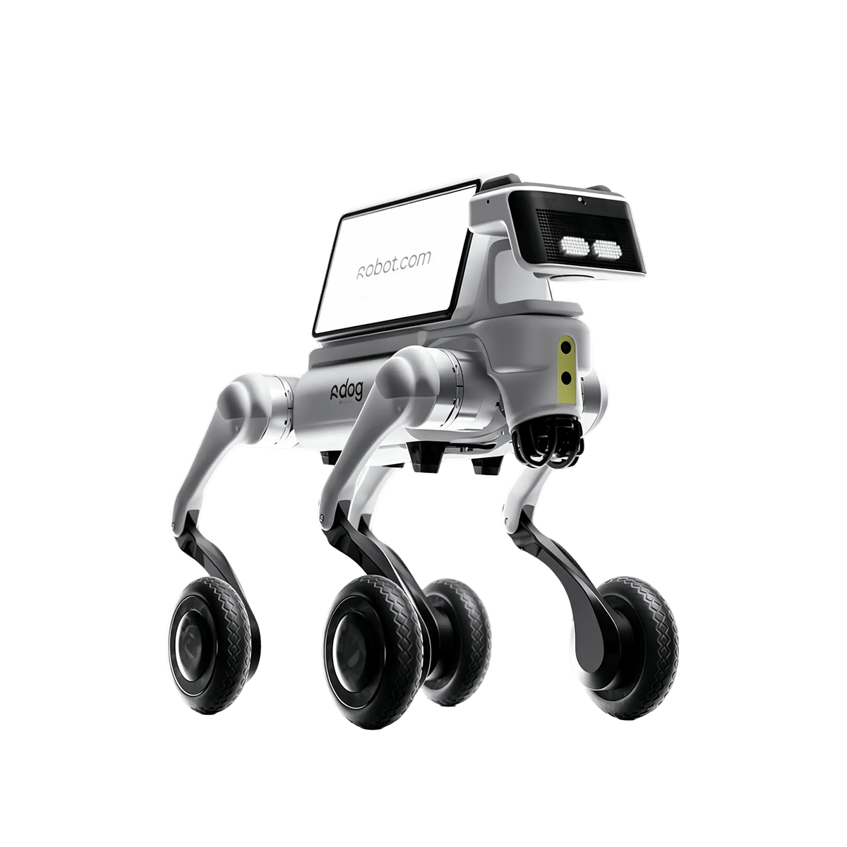 R Dog - Robotcom 机器人